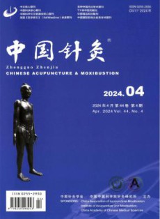 中国针灸